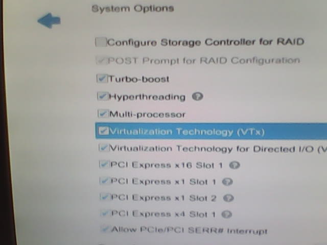 VTX and direct IO options