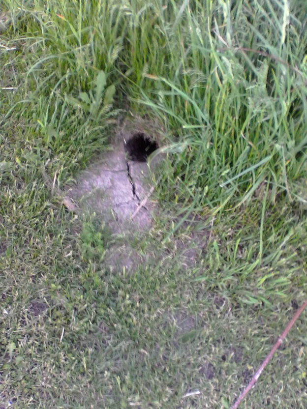 Vermin hole image