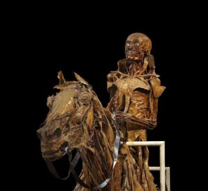 mummification dead horse