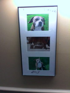 Buddy pictures on wall image