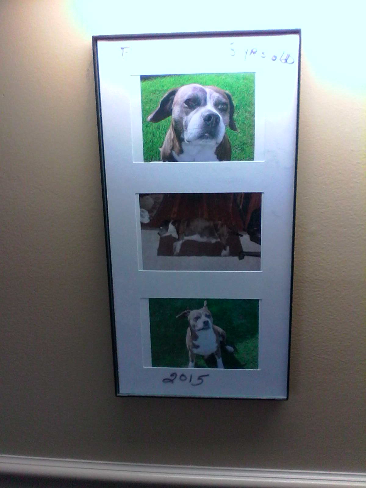 Buddy pictures on wall image