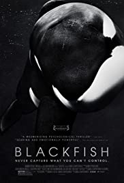 Blackfish cover