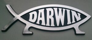 Darwin image