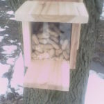 Audubon Squirrel Feeder