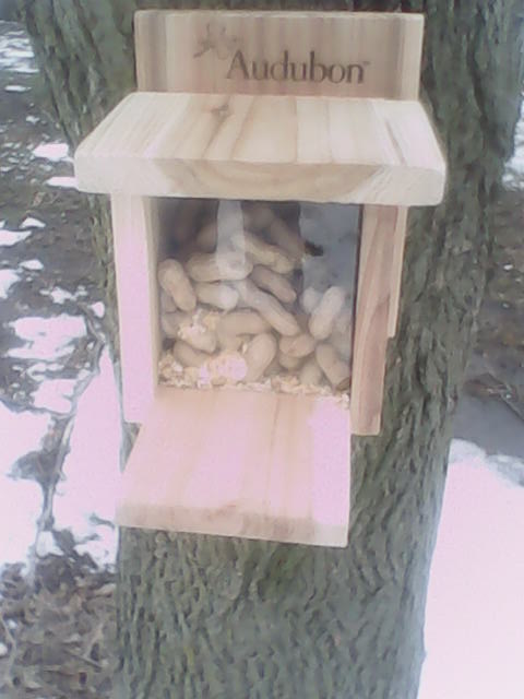 Audubon Squirrel Feeder