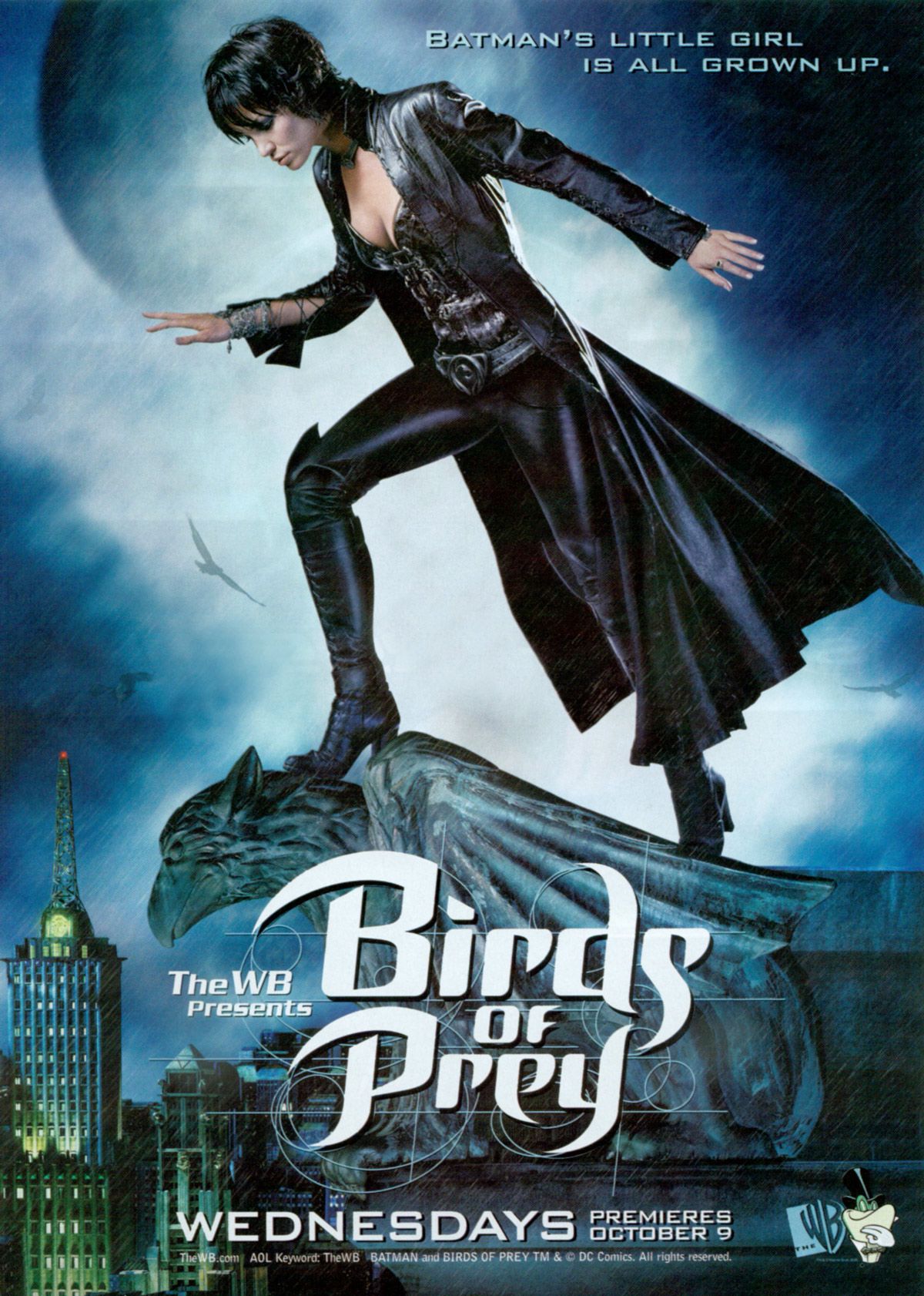 Birds of Prey series cover